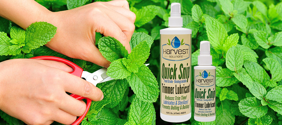 Quick Snip Trimmer Lubricant for easy plant propagation and harvesting!